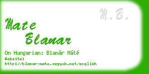 mate blanar business card